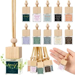30 Pcs Empty Car Diffuser Bottle May You Be Proud of The Work You Do Mothers Gifts Thanks Appreciation Gift for Laboratory Nurse Teacher Coworker Employee Women