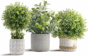 3 Pack Fake Plants in Cement Planter Small Artificial Plants Indoor Faux Potted Plant Boxwood Topiary for Home Bathroom Kitchen Farmhouse Office Shelf Desk Room Decor