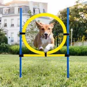 Dog Agility Training Equipment for Dog Obstacle Course Backyard Height Adjustable Jumper Ring Portable Dogs Park Exercise Tool