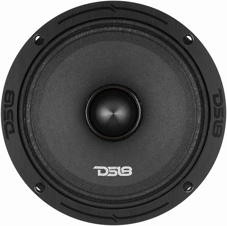 DS18 PRO-ZXI6.4BM 6.5" Pro Audio Midrange Loudspeaker - 600W Max, 300W RMS, 4 Ohms - Premium Quality Audio Door Speakers for Car or Truck Stereo Sound System (1 Speaker)