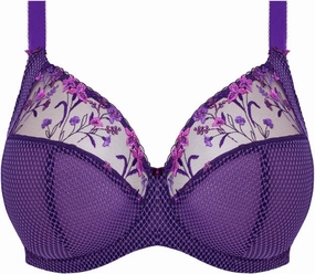 Elomi Women’s Charley Floral Embroidery, Low Plunge, Dd  Bras