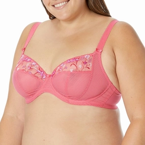 Elomi Women's Plunge