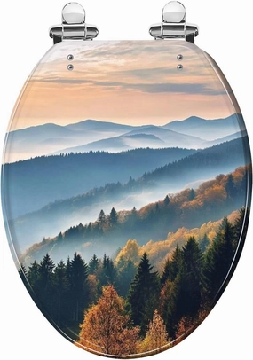 Elongated Toilet Seat Scenic mountain landscape View Black Forest Germany covered Quiet Close Strong Stainless Steel Hinges Resin Toilet Seat Easy to Install Easy to Clean