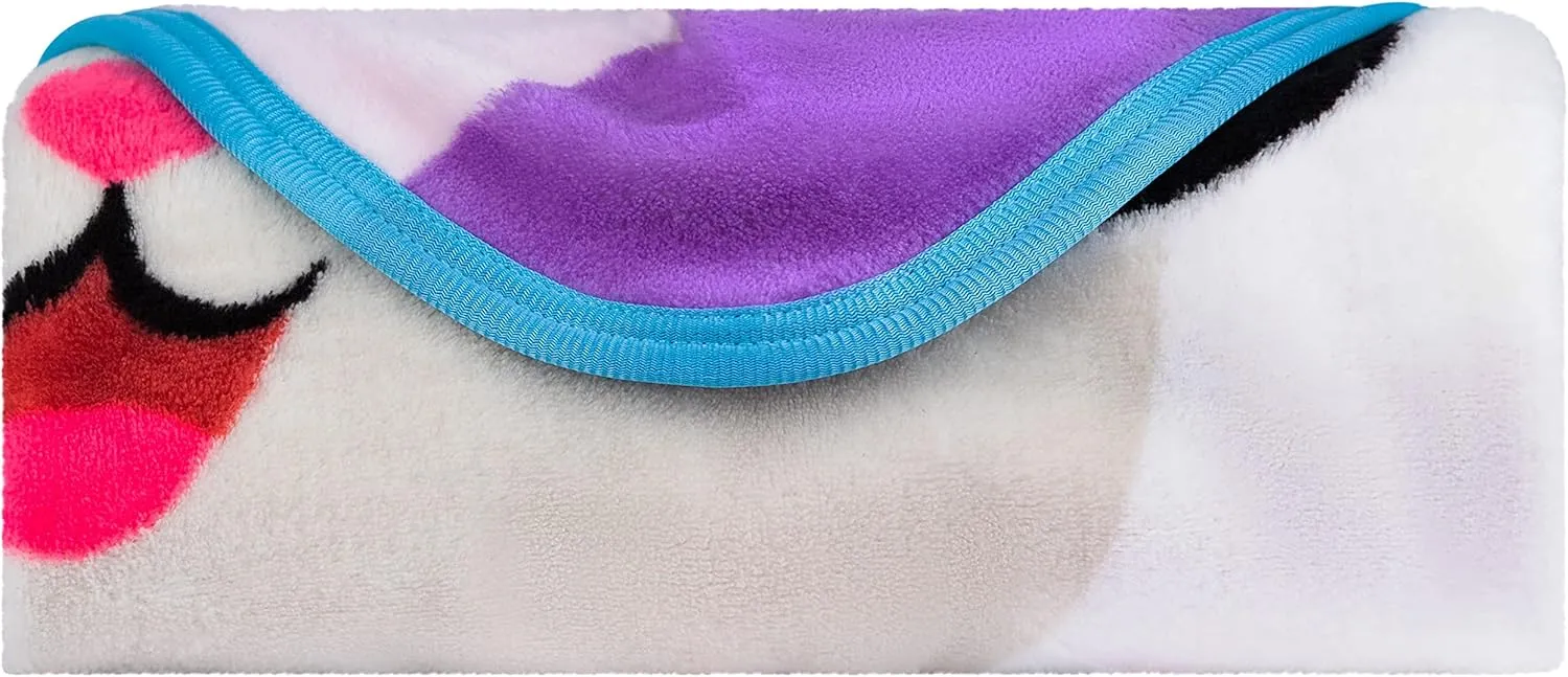 Gabby's Dollhouse Cakey And Pandy Kids Bedding Super Soft Micro Raschel Throw, 46 in x 60 in, By Franco