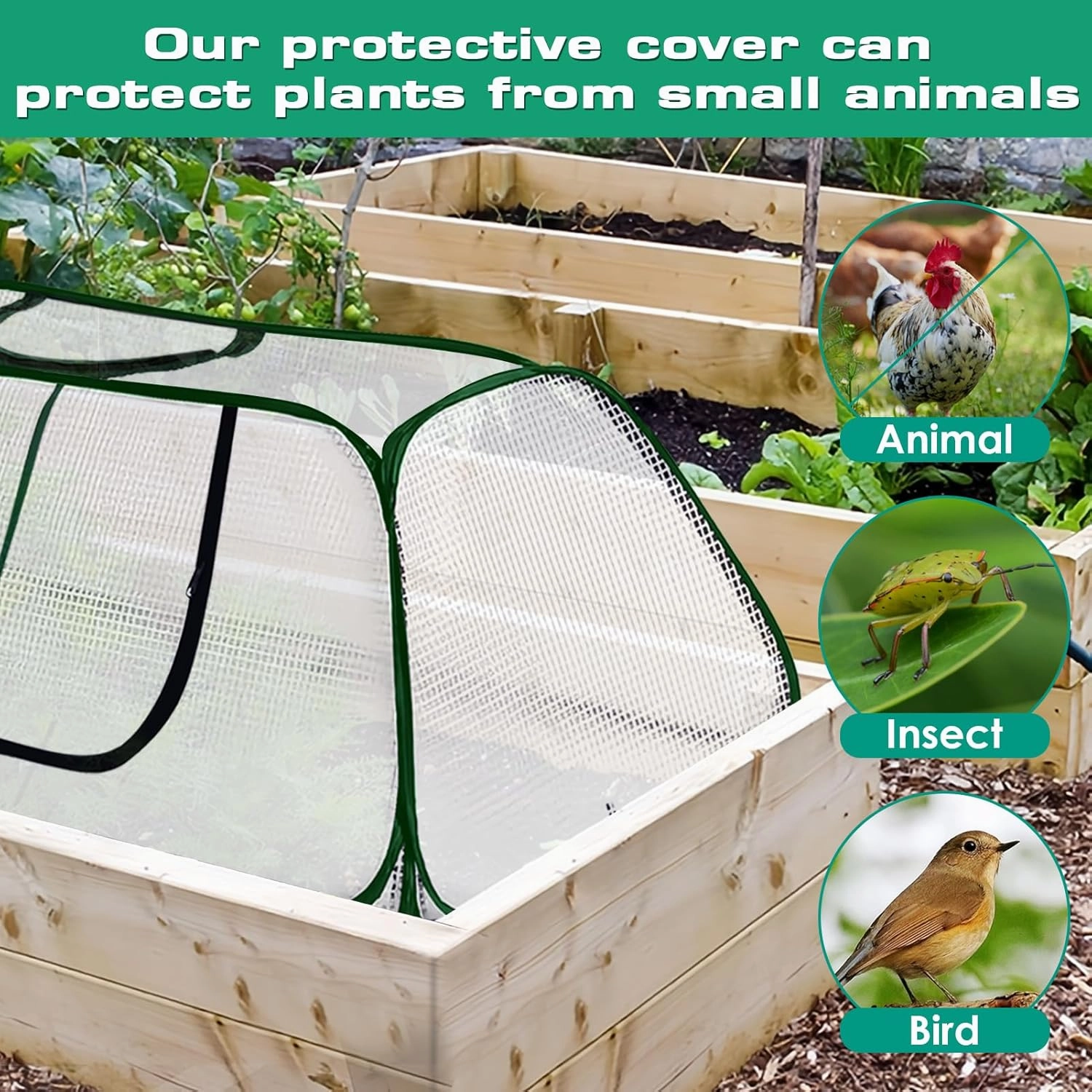 Garden Rows Accelerator Plants Cover-Garden Greenhouse with Roll-up Zipper Door,Thicker PE Cover for Indoor Outdoor Vegetable Fruits Rows - 45" L x 22" W x 16" H (White, 2 Pack)