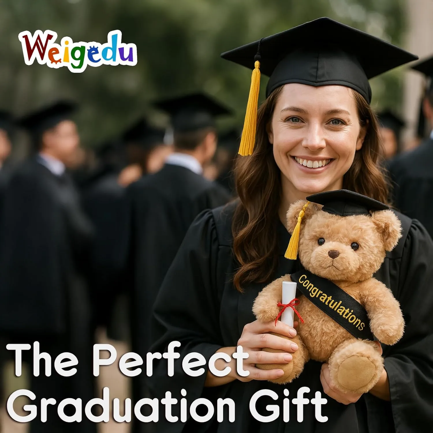 Graduation Gifts Teddy Bear Stuffed Animal Plush Toy with Doctoral Tam Velvet Gold Bullion Tassel Diploma for Man Women Girls Boys Congratulatory Party