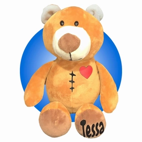 Heart Surgery Recovery Gifts for Kids - Personalized Teddy Bear 14" Scar Buddy - CHD Awareness Gifts - Heart Surgery Gifts - Post Surgery Gift for Kids (Brown Teddy Large)