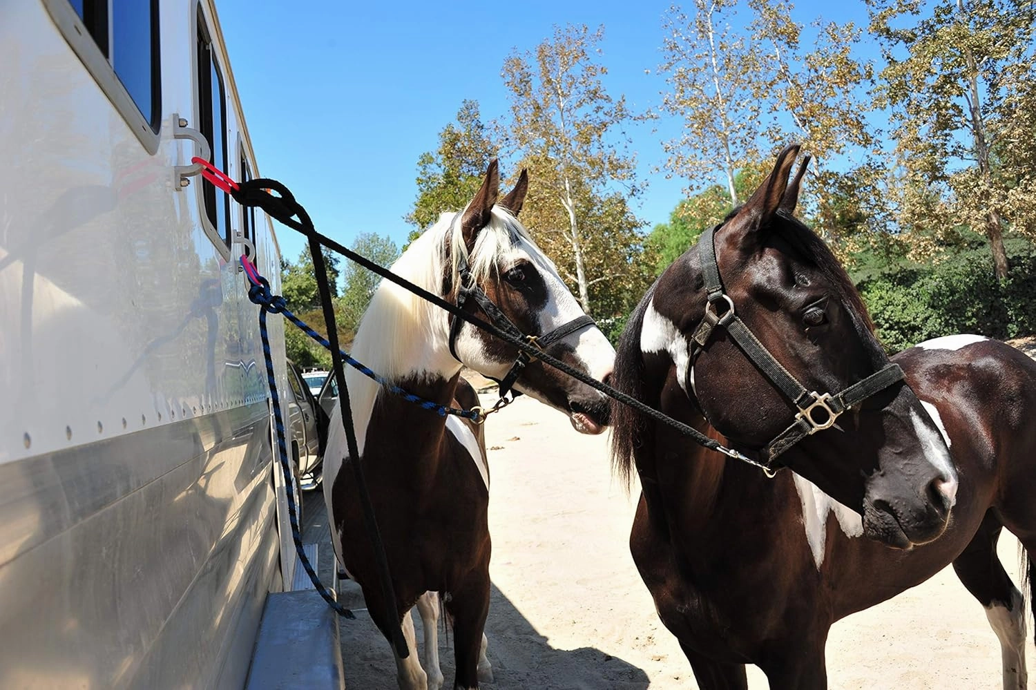 Injuries Preventing Horse Tether Tie - Portable, Versatile & Reusable Breakaway Horse Tie, Quick Release Under Heavy Pressure w/ 5 Loop Settings, Multi-Purpose Horse Clip (2 pcs Red)