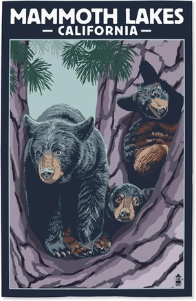 Lantern Press 16x24 Inch Giclee Art Print Wall Decor, Mammoth Lakes, California, Black Bear and Cubs in Tree