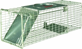 Little Giant® Single Door Live Trap | Racoon Trap | Live Animal Trap | Catches Without Injury | Galvanized Steel Mesh | 18.75 x 6.75 x 6.5 in