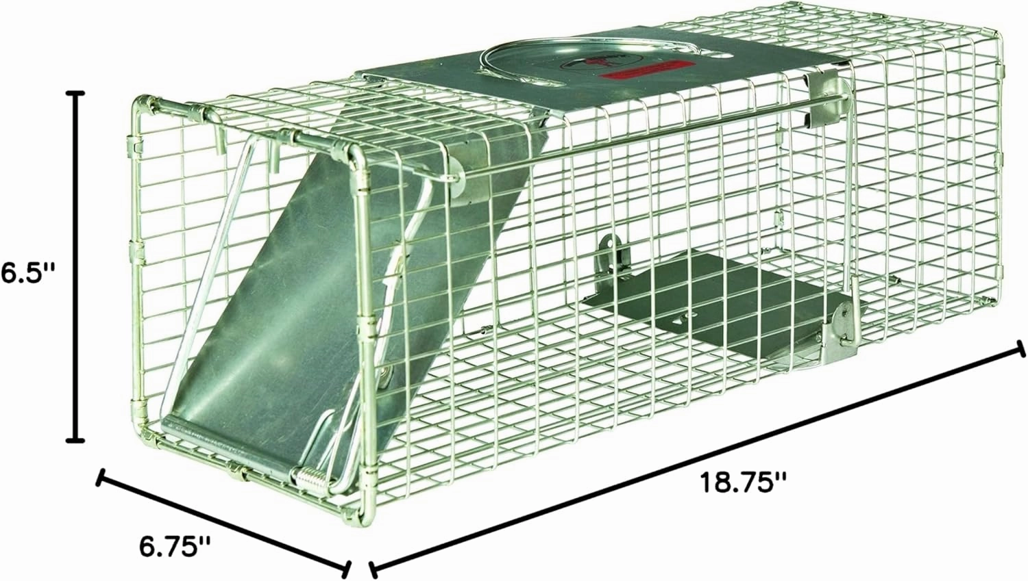 Little Giant® Single Door Live Trap | Racoon Trap | Live Animal Trap | Catches Without Injury | Galvanized Steel Mesh | 18.75 x 6.75 x 6.5 in