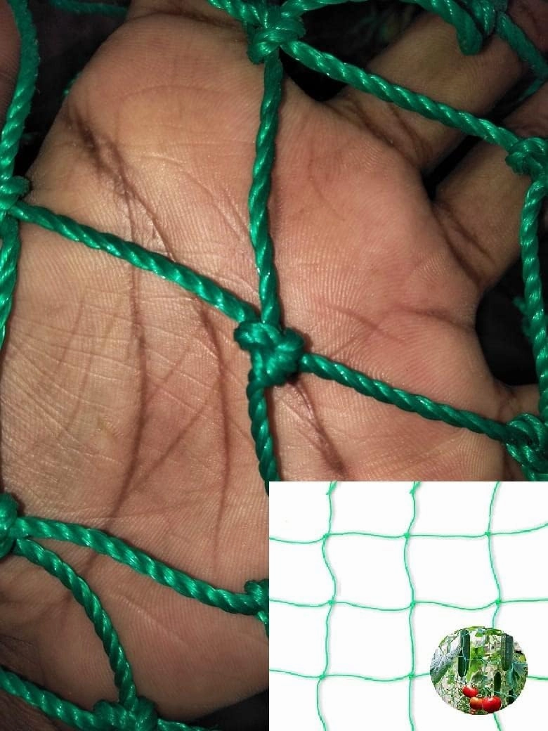 PEAKHILL_Sports Nets Heavy-Duty Nylon Garden Plant Creeper Netting | Plant Support Netting | Garden Netting with Square Mesh for Climbing Plants, Vegetables, Fruits, and Flowers (10 FT * 15 FT)