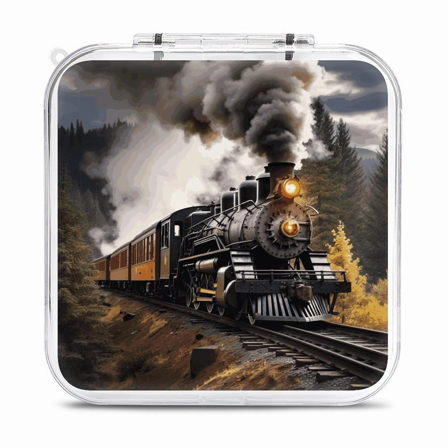 QMNBTES Steam Train Switch Game Case Switch Game Holder Cartridge Case Storage 12 Games & 2 Micro Sd Card Slots, Travel Carry Cases, Portable Games Card Storage, Hard Shell, Buckle Closure