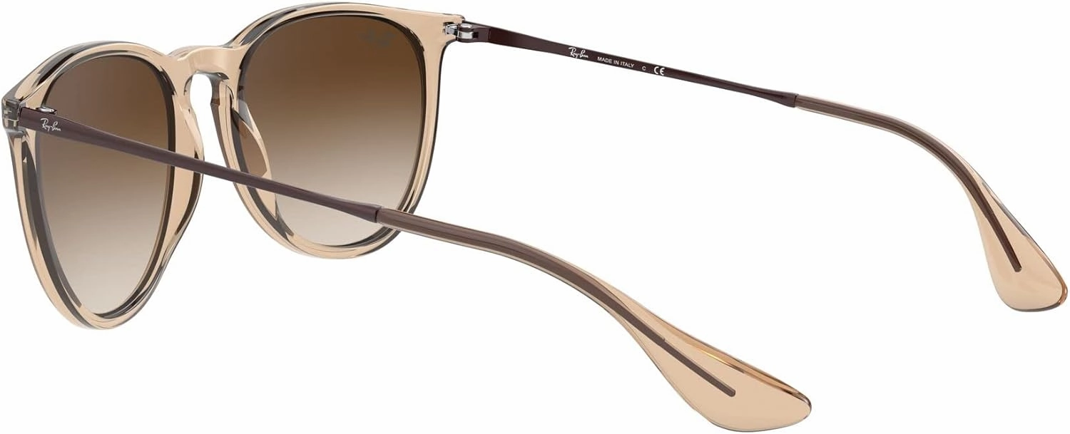 Ray-Ban Women's Rb4171 Erika Round Sunglasses