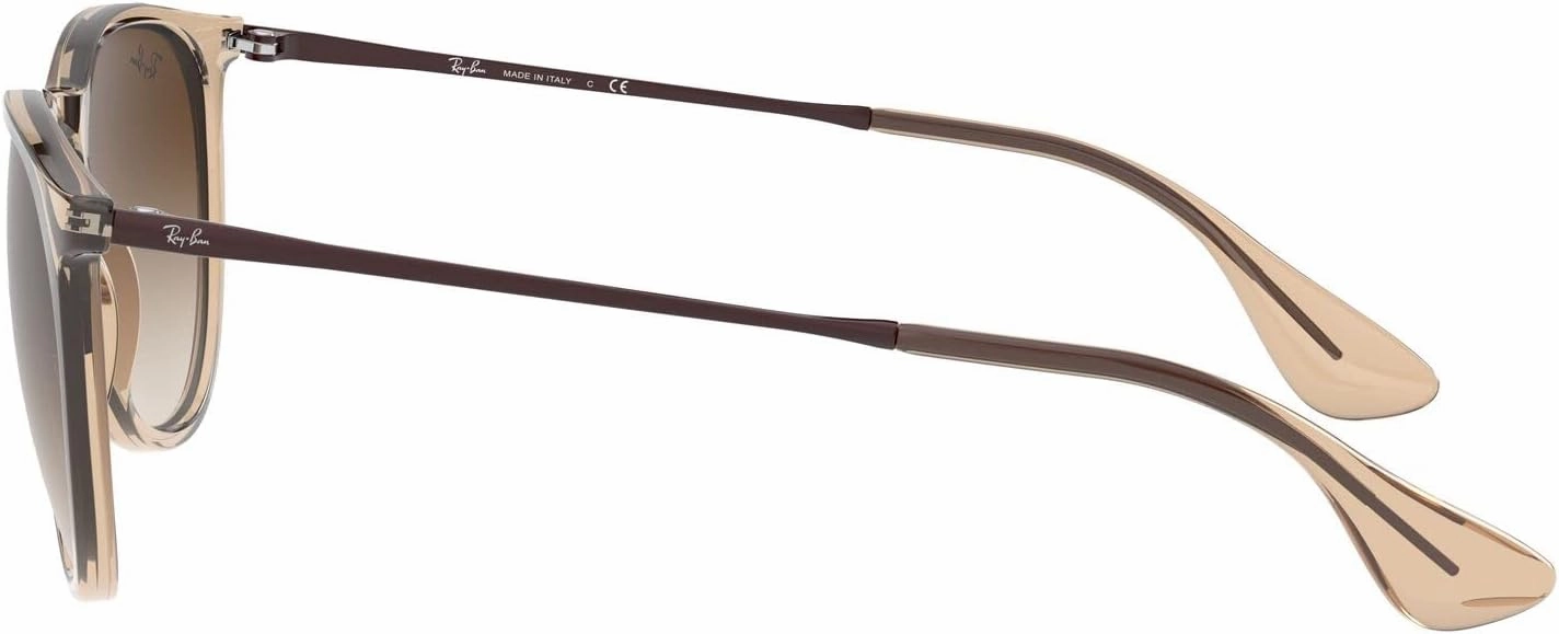 Ray-Ban Women's Rb4171 Erika Round Sunglasses