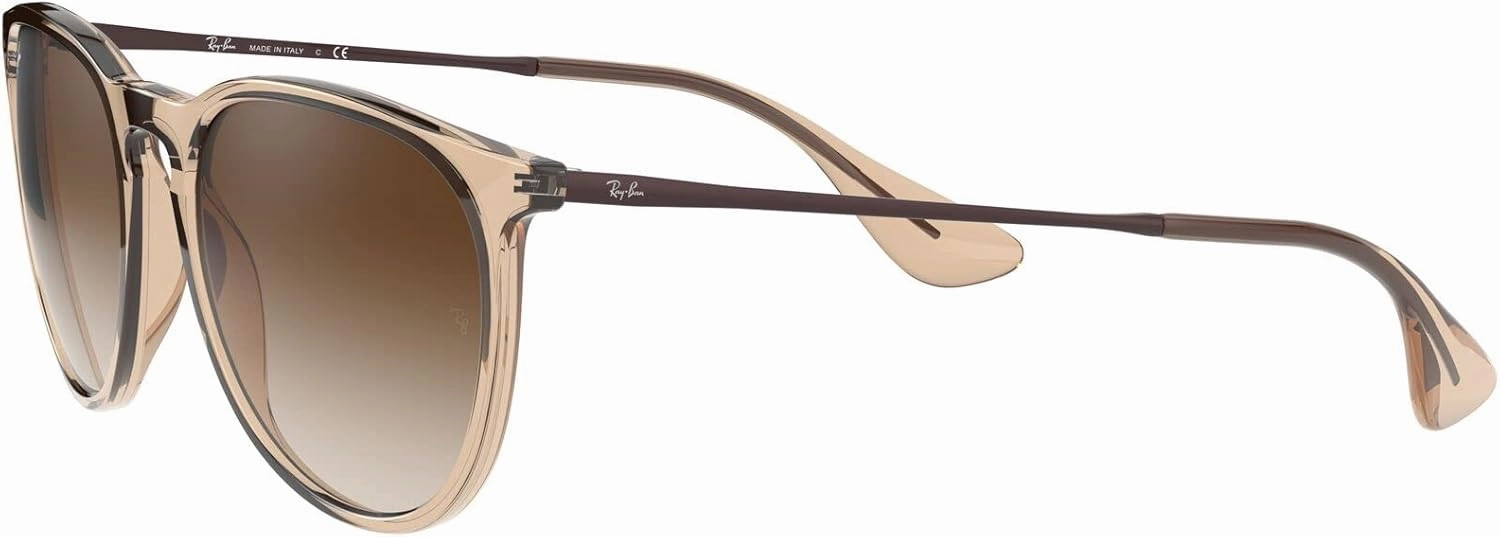 Ray-Ban Women's Rb4171 Erika Round Sunglasses