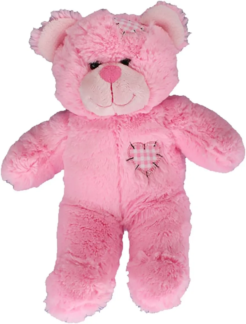 Record Your Own Plush 8 Inch Pink Patches Teddy Bear - Ready 2 Love in a Few Easy Steps