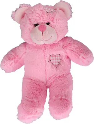 Record Your Own Plush 8 Inch Pink Patches Teddy Bear - Ready 2 Love in a Few Easy Steps