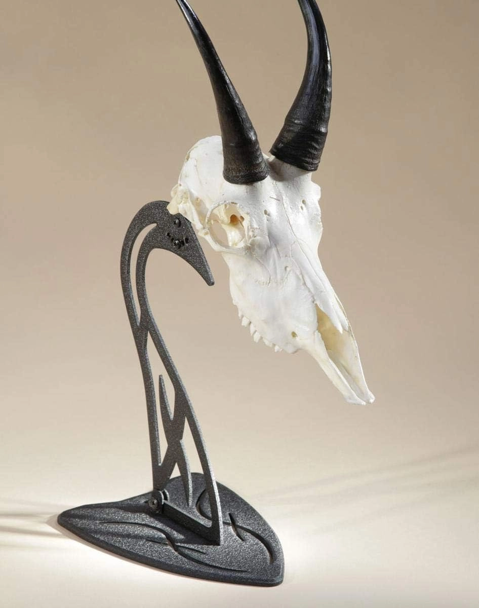 Skull Hooker Table Hooker Powder Coated Steel Trophy Mount - Perfect Kit for Table Display of Taxidermy Deer Antlers and Other Skulls - Available in Graphite Black and Robust Brown