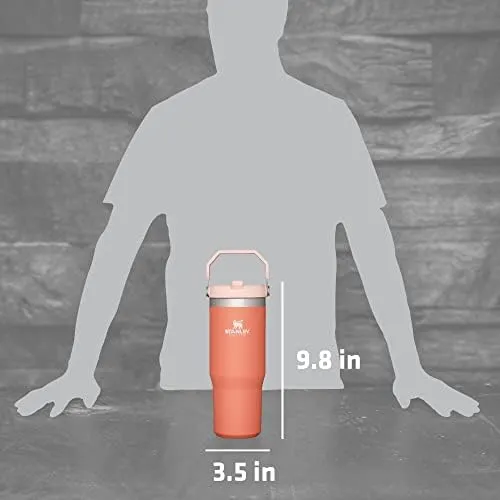 STANLEY IceFlow Stainless Steel Tumbler - Vacuum Insulated Water Bottle for Home, Office or Car Reusable Cup with Straw Leak Resistant Flip Cold for 12 Hours or Iced for 2 Days, Grapefruit, 30OZ