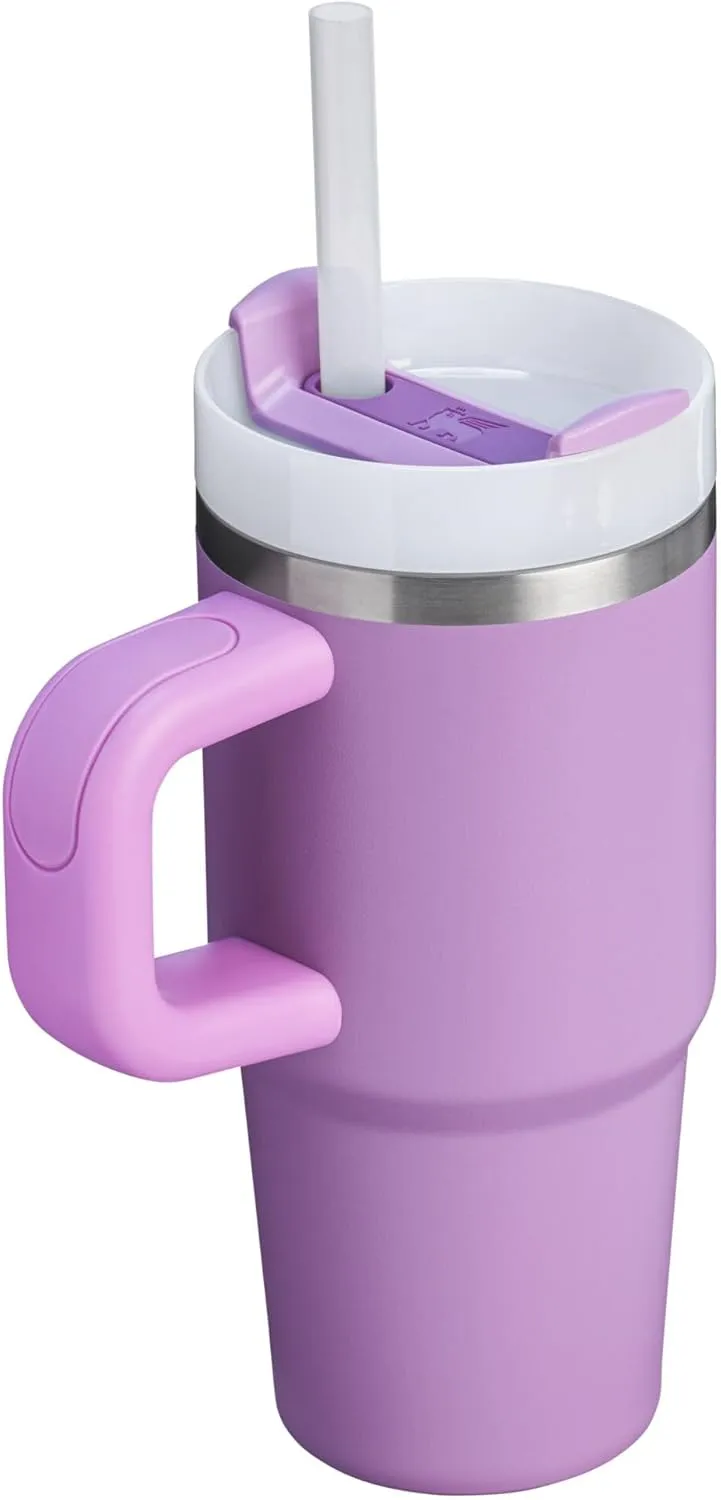 Stanley Quencher H2.0 Tumbler with Handle and Straw 14 oz | Flowstate 3-Position Lid | Cup Holder Compatible for Travel | Insulated Stainless Steel Cup | BPA-Free | Lilac