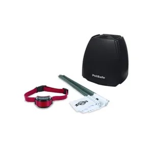 Stay   Play Wireless Fence Stubborn Dog