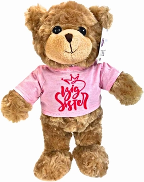 Teddy Bear Stuffed Animal Big Sister Plush for Little Girls, Toddlers I'm a Big Sister Gift, 10 Inches