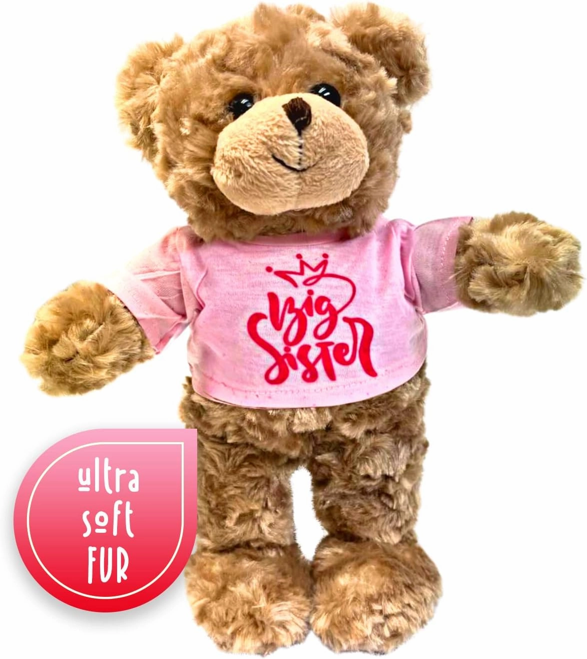 Teddy Bear Stuffed Animal Big Sister Plush for Little Girls, Toddlers I'm a Big Sister Gift, 10 Inches