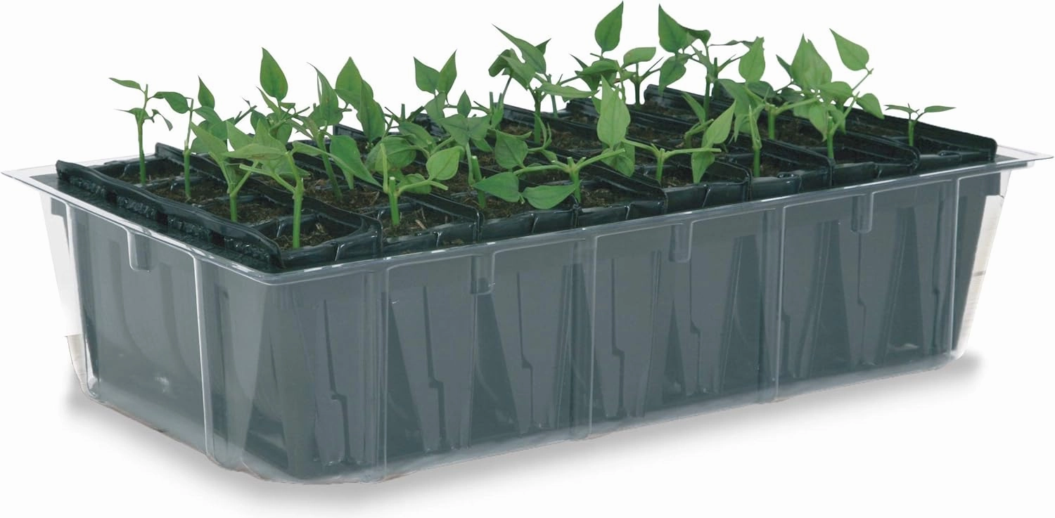 Tierra Garden 50-9010 Haxnicks Rapid Rootrainers Seed and Cutting Propagation Kit