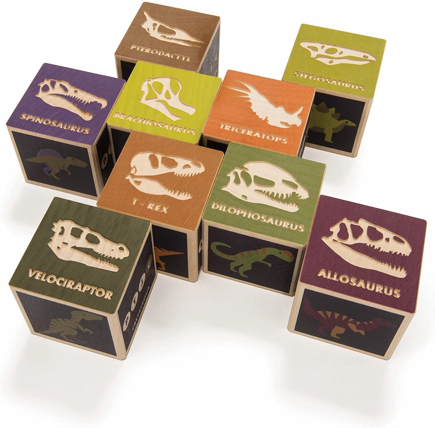 Uncle Goose Dinosaur Blocks