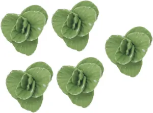 VICASKY 5pcs Realistic Artificial Fake Vegetable Dollhouse Miniatures Food Ornaments 1:12 Scale Tiny Vegetable Model Statue Simulation Vegetable for DIY Crafts Mini House Decoration